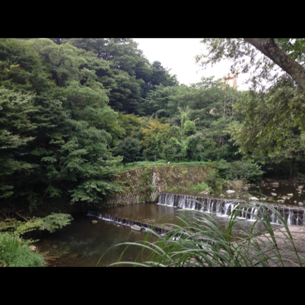 pic20140826135812_3.jpg