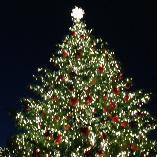 pic20141117123029_1.jpg